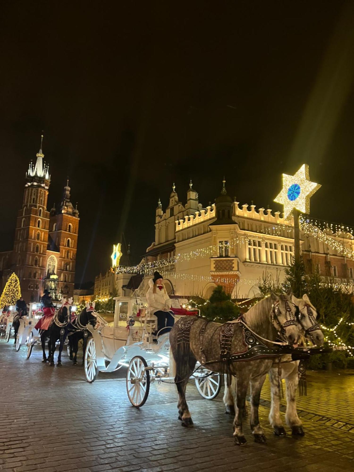 Luxury Downtown Kraków